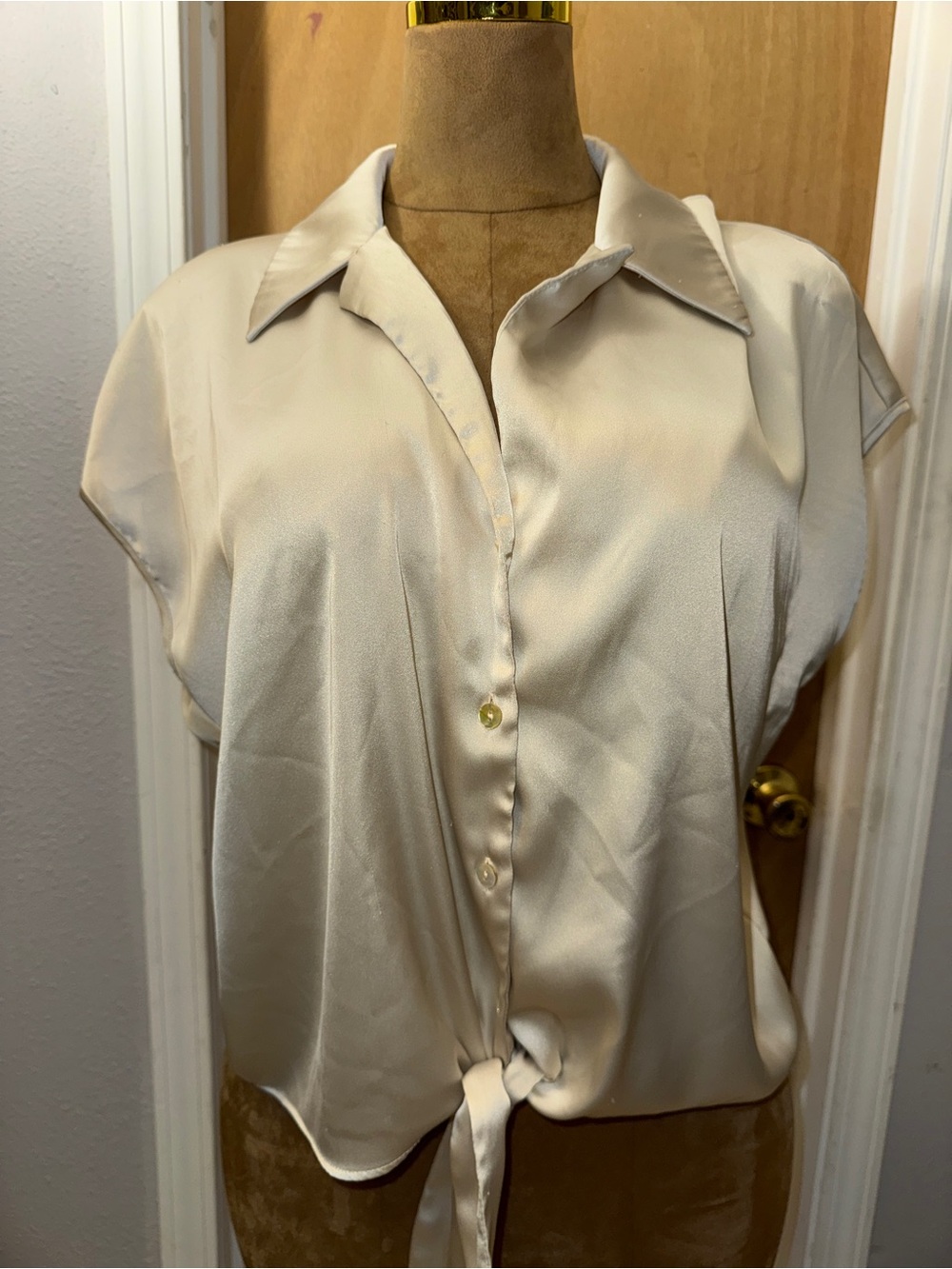 Rachel Zoe Ivory Satin Tie-Front Short Sleeve Blouse, XL